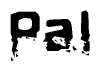 This nametag says Pal, and has a static looking effect at the bottom of the words. The words are in a stylized font.