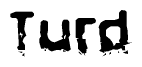 The image contains the word Turd in a stylized font with a static looking effect at the bottom of the words