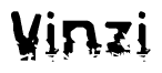 The image contains the word Vinzi in a stylized font with a static looking effect at the bottom of the words