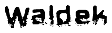 The image contains the word Waldek in a stylized font with a static looking effect at the bottom of the words