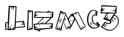 The image contains the name Lizmc3 written in a decorative, stylized font with a hand-drawn appearance. The lines are made up of what appears to be planks of wood, which are nailed together