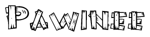 The image contains the name Pawinee written in a decorative, stylized font with a hand-drawn appearance. The lines are made up of what appears to be planks of wood, which are nailed together
