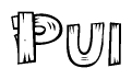 The image contains the name Pui written in a decorative, stylized font with a hand-drawn appearance. The lines are made up of what appears to be planks of wood, which are nailed together