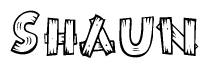 The image contains the name Shaun written in a decorative, stylized font with a hand-drawn appearance. The lines are made up of what appears to be planks of wood, which are nailed together