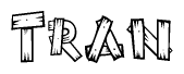 The image contains the name Tran written in a decorative, stylized font with a hand-drawn appearance. The lines are made up of what appears to be planks of wood, which are nailed together