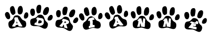 The image shows a row of animal paw prints, each containing a letter. The letters spell out the word Adrianne within the paw prints.