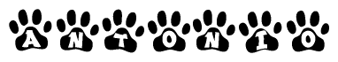 The image shows a series of animal paw prints arranged horizontally. Within each paw print, there's a letter; together they spell Antonio