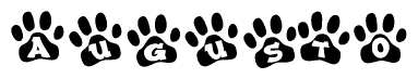 The image shows a series of animal paw prints arranged horizontally. Within each paw print, there's a letter; together they spell Augusto
