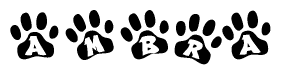 The image shows a series of animal paw prints arranged in a horizontal line. Each paw print contains a letter, and together they spell out the word Ambra.