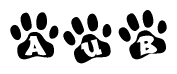 The image shows a series of animal paw prints arranged in a horizontal line. Each paw print contains a letter, and together they spell out the word Aub.