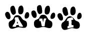 The image shows a series of animal paw prints arranged in a horizontal line. Each paw print contains a letter, and together they spell out the word Avi.