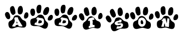 The image shows a series of animal paw prints arranged in a horizontal line. Each paw print contains a letter, and together they spell out the word Addison.