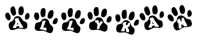 The image shows a series of animal paw prints arranged horizontally. Within each paw print, there's a letter; together they spell Allykam