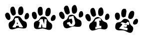 The image shows a series of animal paw prints arranged in a horizontal line. Each paw print contains a letter, and together they spell out the word Anjie.
