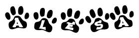 The image shows a series of animal paw prints arranged in a horizontal line. Each paw print contains a letter, and together they spell out the word Alesa.
