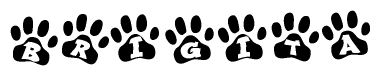 The image shows a series of animal paw prints arranged in a horizontal line. Each paw print contains a letter, and together they spell out the word Brigita.