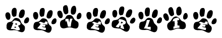 The image shows a series of animal paw prints arranged in a horizontal line. Each paw print contains a letter, and together they spell out the word Beverlie.