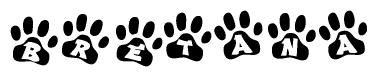 The image shows a series of animal paw prints arranged in a horizontal line. Each paw print contains a letter, and together they spell out the word Bretana.