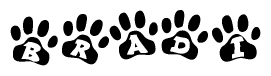 The image shows a series of animal paw prints arranged in a horizontal line. Each paw print contains a letter, and together they spell out the word Bradi.