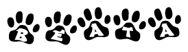 The image shows a row of animal paw prints, each containing a letter. The letters spell out the word Beata within the paw prints.