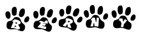 The image shows a series of animal paw prints arranged horizontally. Within each paw print, there's a letter; together they spell Berny