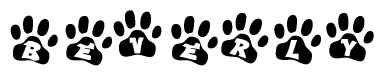 The image shows a series of animal paw prints arranged in a horizontal line. Each paw print contains a letter, and together they spell out the word Beverly.