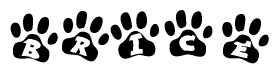The image shows a series of animal paw prints arranged horizontally. Within each paw print, there's a letter; together they spell Brice
