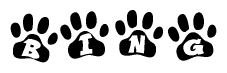 The image shows a series of animal paw prints arranged in a horizontal line. Each paw print contains a letter, and together they spell out the word Bing.
