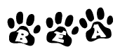 The image shows a row of animal paw prints, each containing a letter. The letters spell out the word Bea within the paw prints.