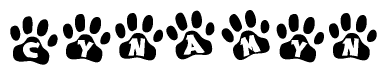 The image shows a series of animal paw prints arranged in a horizontal line. Each paw print contains a letter, and together they spell out the word Cynamyn.