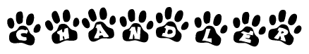 The image shows a series of animal paw prints arranged horizontally. Within each paw print, there's a letter; together they spell Chandler