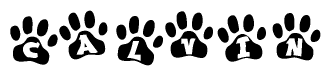 The image shows a series of animal paw prints arranged in a horizontal line. Each paw print contains a letter, and together they spell out the word Calvin.