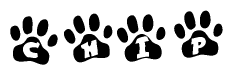 The image shows a series of animal paw prints arranged horizontally. Within each paw print, there's a letter; together they spell Chip
