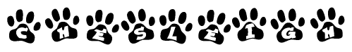 The image shows a row of animal paw prints, each containing a letter. The letters spell out the word Chesleigh within the paw prints.