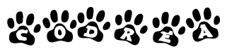 The image shows a series of animal paw prints arranged in a horizontal line. Each paw print contains a letter, and together they spell out the word Codrea.