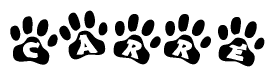 The image shows a series of animal paw prints arranged in a horizontal line. Each paw print contains a letter, and together they spell out the word Carre.