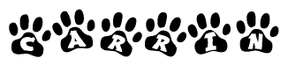 The image shows a series of animal paw prints arranged horizontally. Within each paw print, there's a letter; together they spell Carrin