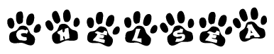 The image shows a series of animal paw prints arranged in a horizontal line. Each paw print contains a letter, and together they spell out the word Chelsea.