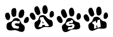 The image shows a series of animal paw prints arranged in a horizontal line. Each paw print contains a letter, and together they spell out the word Cash.