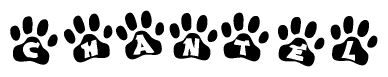 The image shows a row of animal paw prints, each containing a letter. The letters spell out the word Chantel within the paw prints.