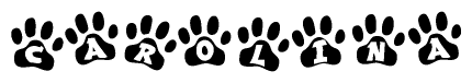 The image shows a row of animal paw prints, each containing a letter. The letters spell out the word Carolina within the paw prints.