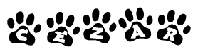 The image shows a series of animal paw prints arranged horizontally. Within each paw print, there's a letter; together they spell Cezar