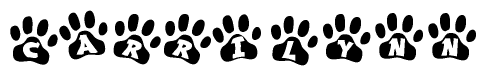 The image shows a series of animal paw prints arranged in a horizontal line. Each paw print contains a letter, and together they spell out the word Carrilynn.