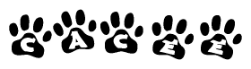 The image shows a row of animal paw prints, each containing a letter. The letters spell out the word Cacee within the paw prints.