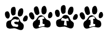 The image shows a series of animal paw prints arranged in a horizontal line. Each paw print contains a letter, and together they spell out the word Citi.