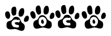 The image shows a row of animal paw prints, each containing a letter. The letters spell out the word Coco within the paw prints.