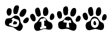 The image shows a series of animal paw prints arranged in a horizontal line. Each paw print contains a letter, and together they spell out the word Dito.