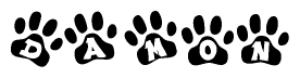 The image shows a row of animal paw prints, each containing a letter. The letters spell out the word Damon within the paw prints.