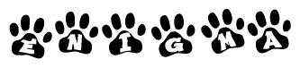 The image shows a series of animal paw prints arranged horizontally. Within each paw print, there's a letter; together they spell Enigma