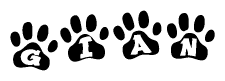 The image shows a series of animal paw prints arranged in a horizontal line. Each paw print contains a letter, and together they spell out the word Gian.